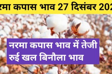 Cotton rate today 27 December 2023