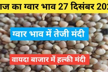 Guar bhav today 27 December 2023 . Guar price today up & fall