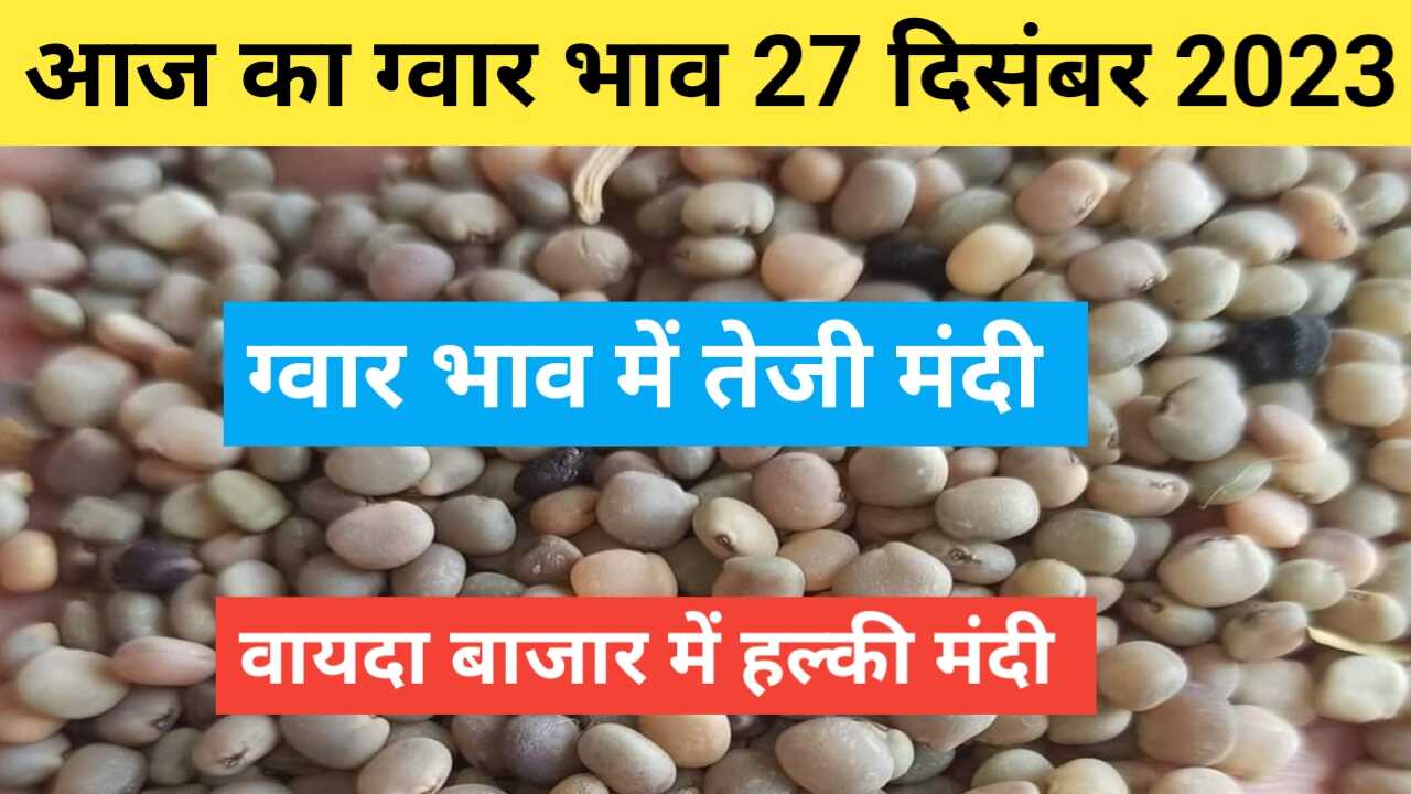 Guar bhav today 27 December 2023 . Guar price today up & fall