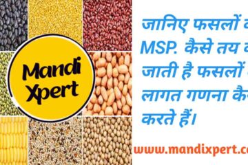 How to calculate the cost to decide support price MSP of crops