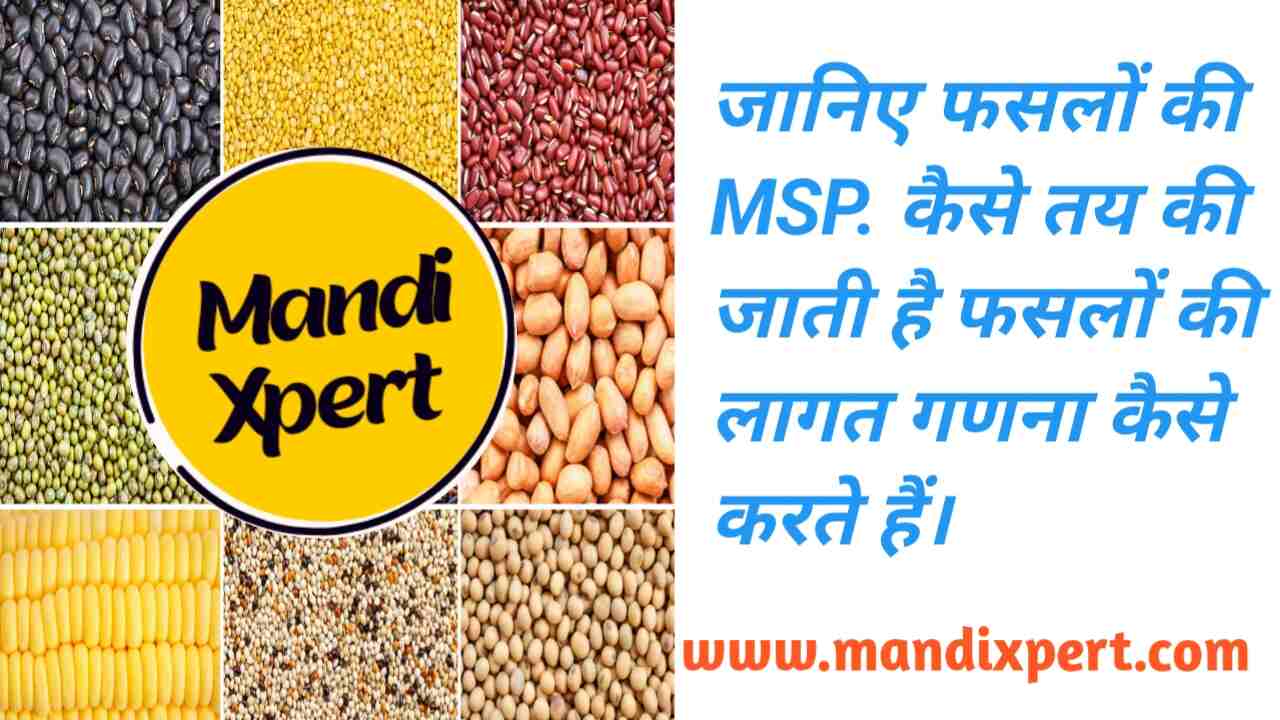 How to calculate the cost to decide support price MSP of crops