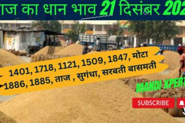 Paddy rate today 21 December 2023