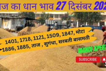 Paddy rate today 27 December 2023