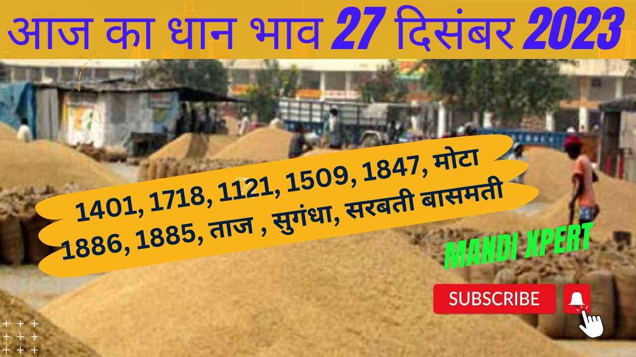 Paddy rate today 27 December 2023