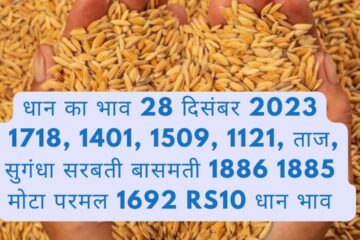 Paddy rate today 28 December 2023