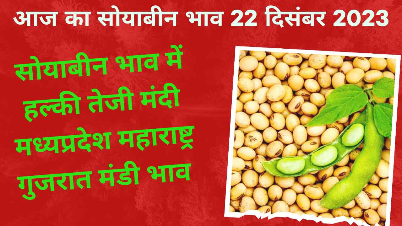 Soyabean rate today 22 December 2023