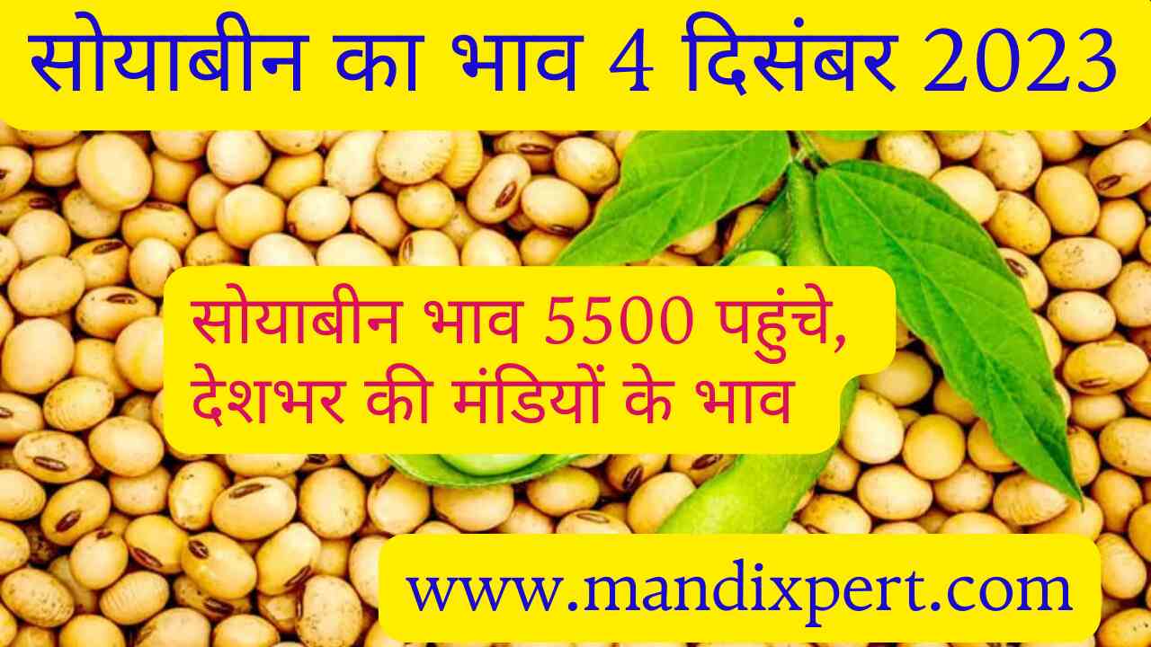 Soyabean rate today 4 December 2023