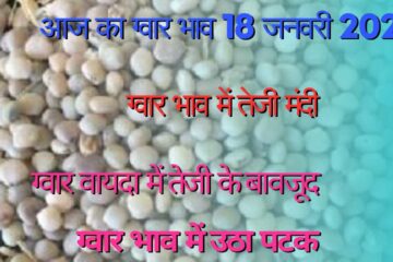 Rise in Guar Gum and Guar Seed / Know the latest prices of today 18th January