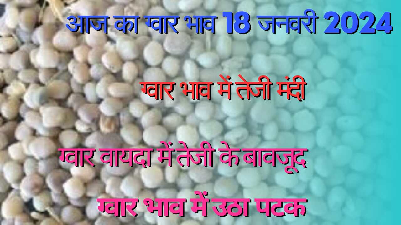 Rise in Guar Gum and Guar Seed / Know the latest prices of today 18th January