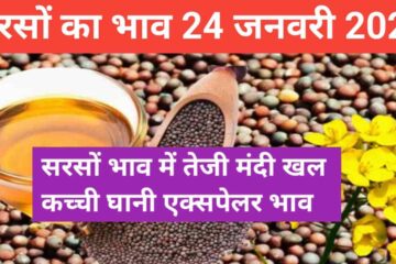 Know the change in mustard price today, Mustard, Kachchi Ghani expeller khal price