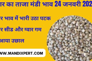 NCDEX guar gum and seed surge / heavy uproar in guar markets