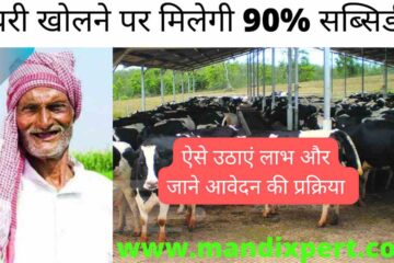 Dairy farming subsidy 2024