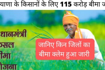 Haryana Crop Insurance Claim 2024 / Farmers' crop insurance claim of Rs 115 crore released.