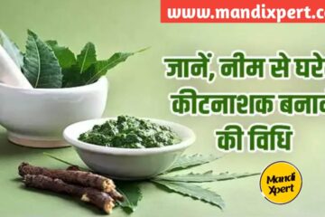 Know the complete process of making organic pesticide from Neem