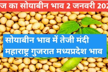 Soyabean rate today 2 January 2024