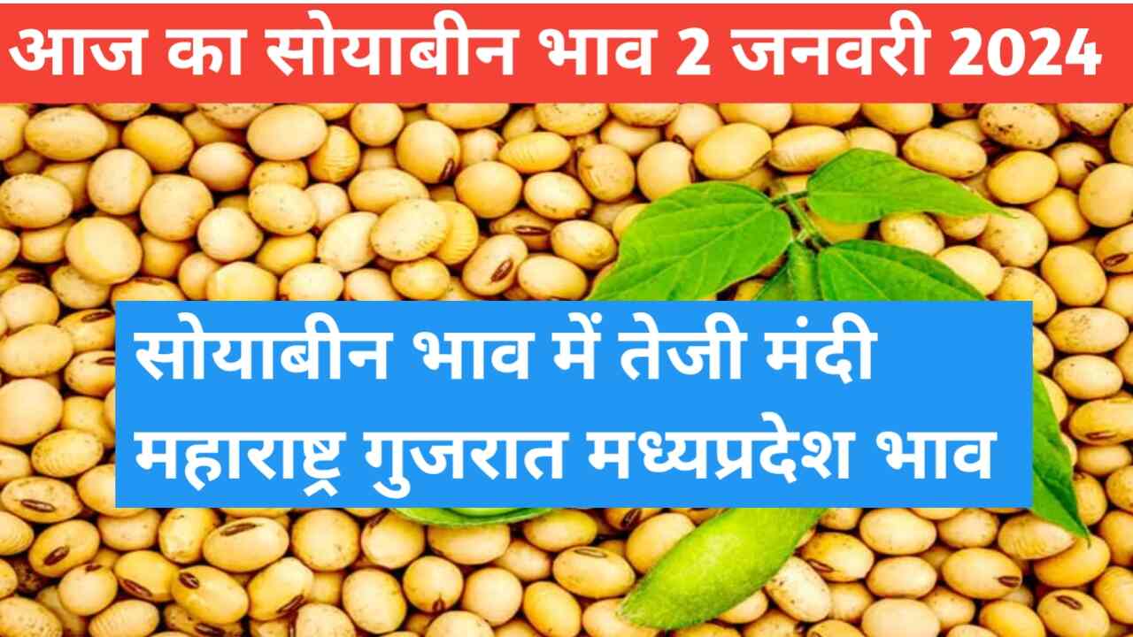 Soyabean rate today 2 January 2024