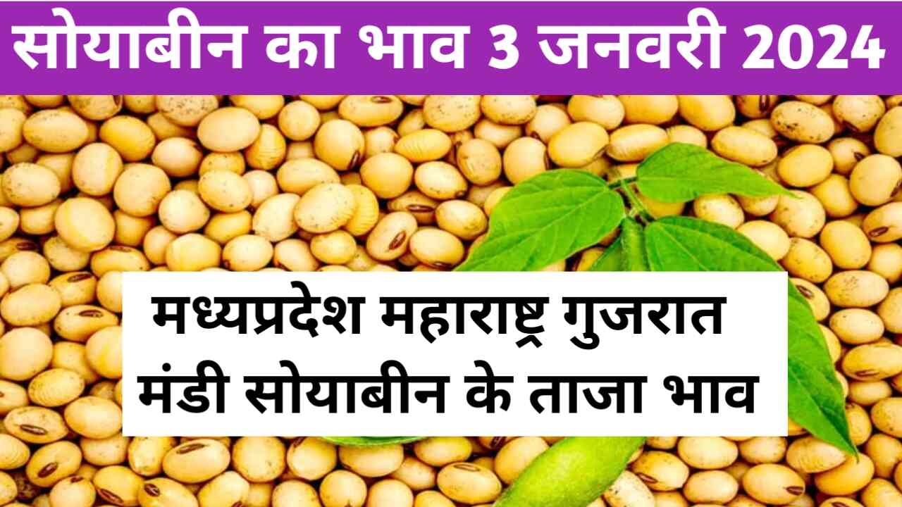 Soybean Price 3 January 2023 / Madhya Pradesh Maharashtra Gujarat Mandi Price