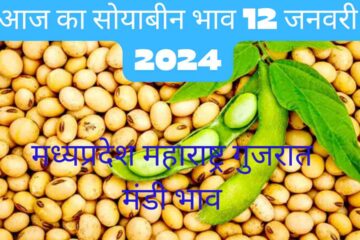 Soyabean bhav today 12 January 2024