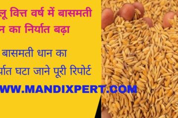Export of Basmati paddy increased in the current financial year / Know our special report