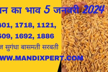 Paddy rate today 5 January 2024