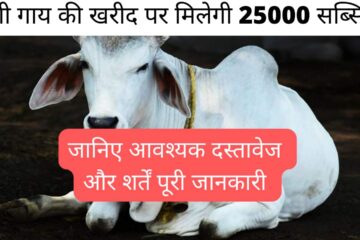 Native Cow Purchase Subsidy Scheme 2024 / You will get Rs 25000 on purchasing a native cow