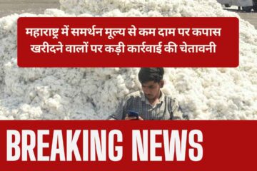 Maharashtra warns of strict action against buying cotton below the support price
