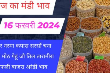 Mandi bhav today 16 February 2024 / Narma Cotton Guar Mustard Gram Moong Moth Lentil Price