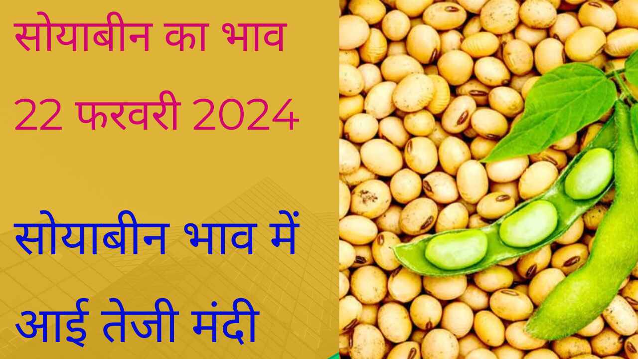 Soyabean rate today 22 February 2024