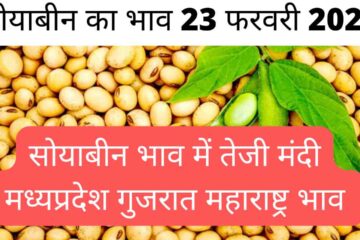 Soyabean rate today 23 February 2024