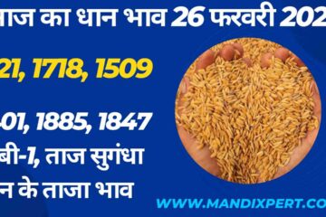 Paddy rate today 26 February 2024