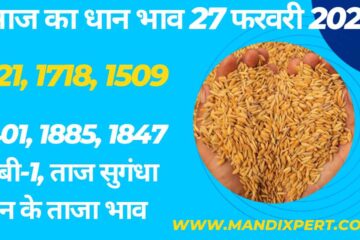 Paddy rate today 27 February 2028