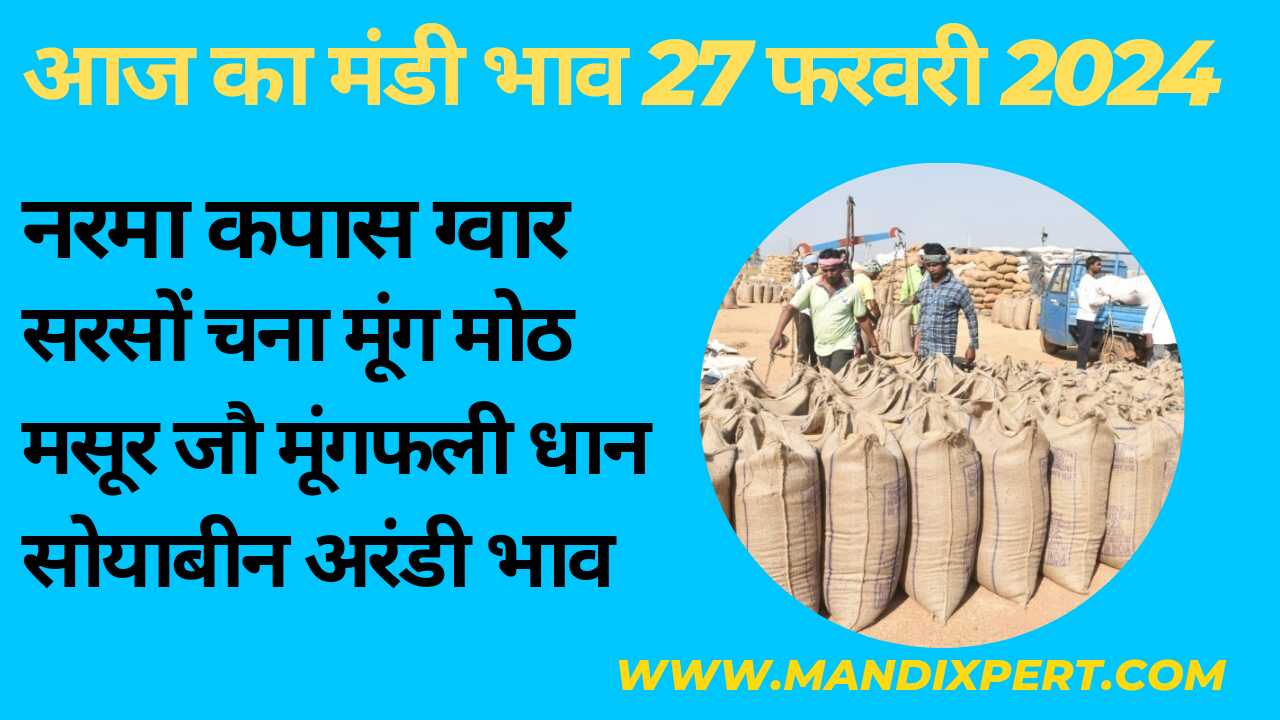 Mandi bhav today 27 February 2024 / narma guar cotton mustard barely wheat moong price