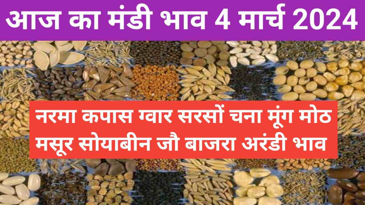 Mandi bhav today 4 March 2024 / narma kapas guar mustard gram wheat barley masoor rate today