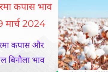 Narma cotton gin cottonseed price 19 March 2024