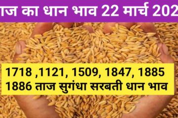 Paddy rate today 22 March 2024