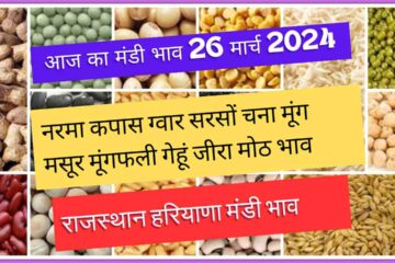 Know the fall in the price of Guar Narma, Mustard, Gram, Moong, Masur, Cumin, 26 March 2024