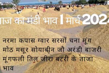 Mandi bhav today 1 March 2024 / cotton guar seed lentil moong wheat barley gram rate today
