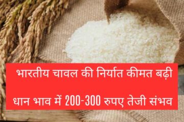 Export price of Indian rice increased, paddy price likely to rise by Rs 200-300