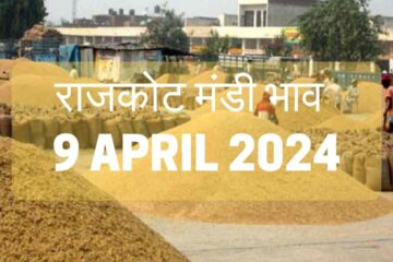 Rajkot Mandi bhav today 9 April 2024
