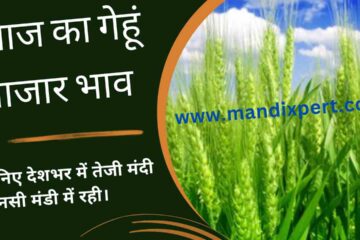 Wheat Mandi price today 20 April 2024
