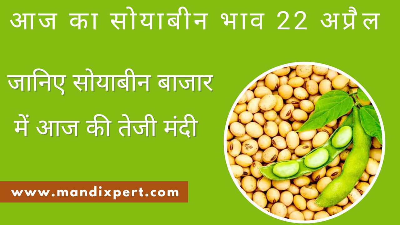 Soyabean bazar bhav today 22 April 2024