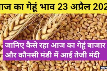 Wheat price today in India 23 April 2024