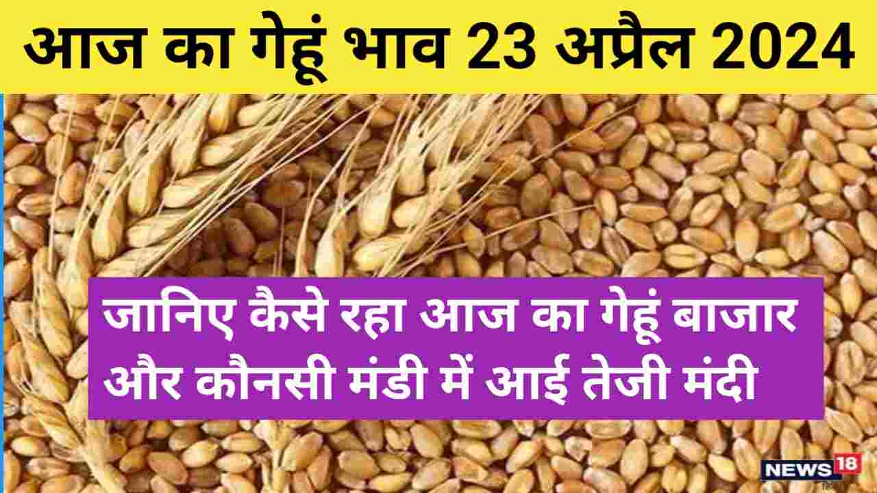 Wheat price today in India 23 April 2024