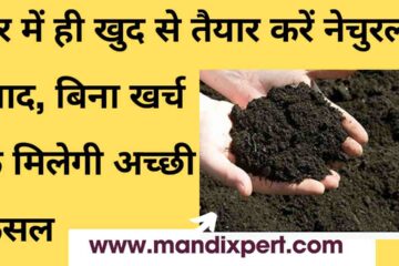 Prepare natural fertilizer at home, you will get good crop without any expense
