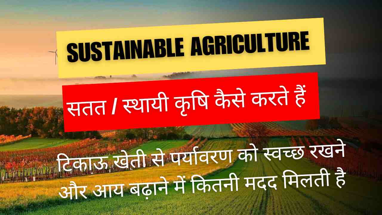 Sustainable agriculture in India model principal