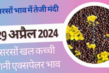 Sarso bhav 29 April 2024 . Mustard price today hike & down know all India Mandi rates
