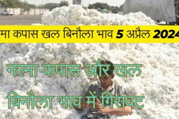 There has been a decline in the prices of cottonseed and soft cotton. Know the latest prices of today 5th April 2024