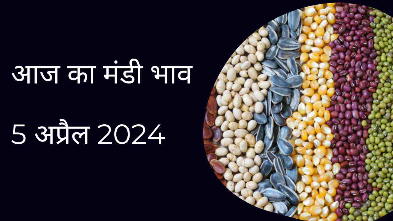 Mandi bhav today 5 April 2024