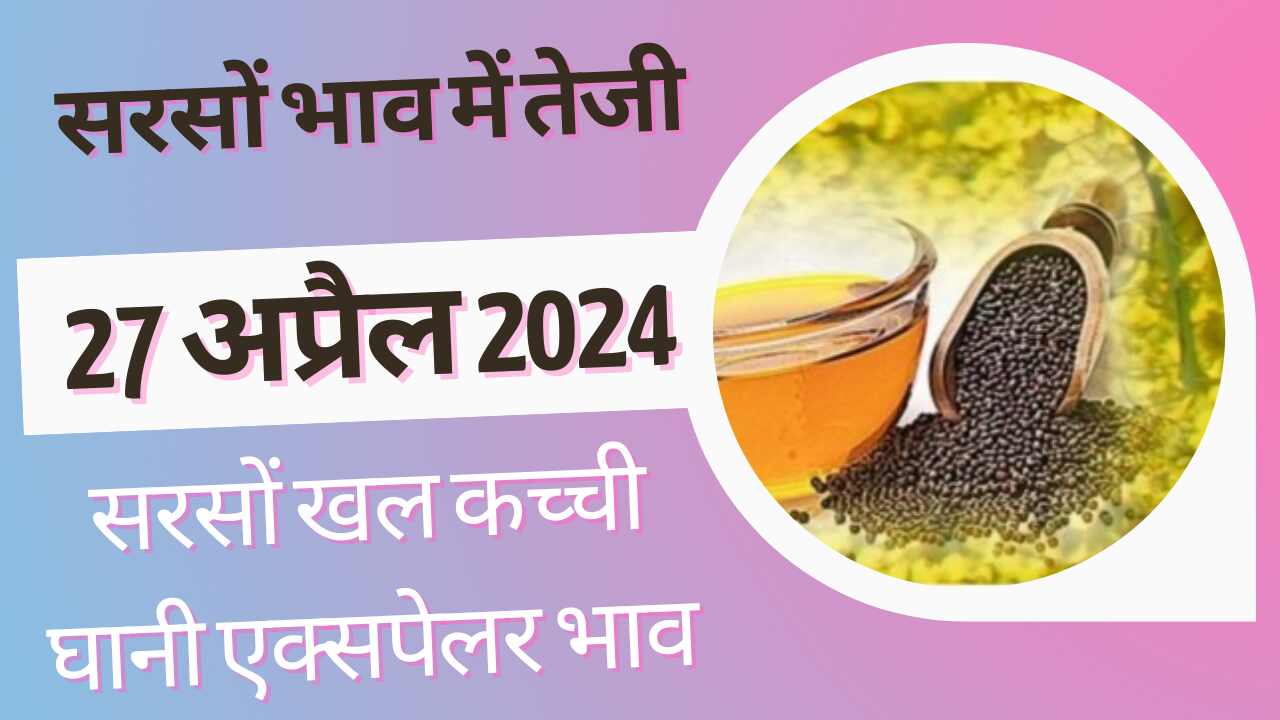 Mustard price today 27 April 2024 . Mustard price hike today know all India Mandi mustard price