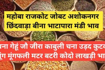 Market price 2 May 2024 Latest prices of Mahoba Rajkot Jobat Ashoknagar Bina Chhindwara Bhatapara mandis